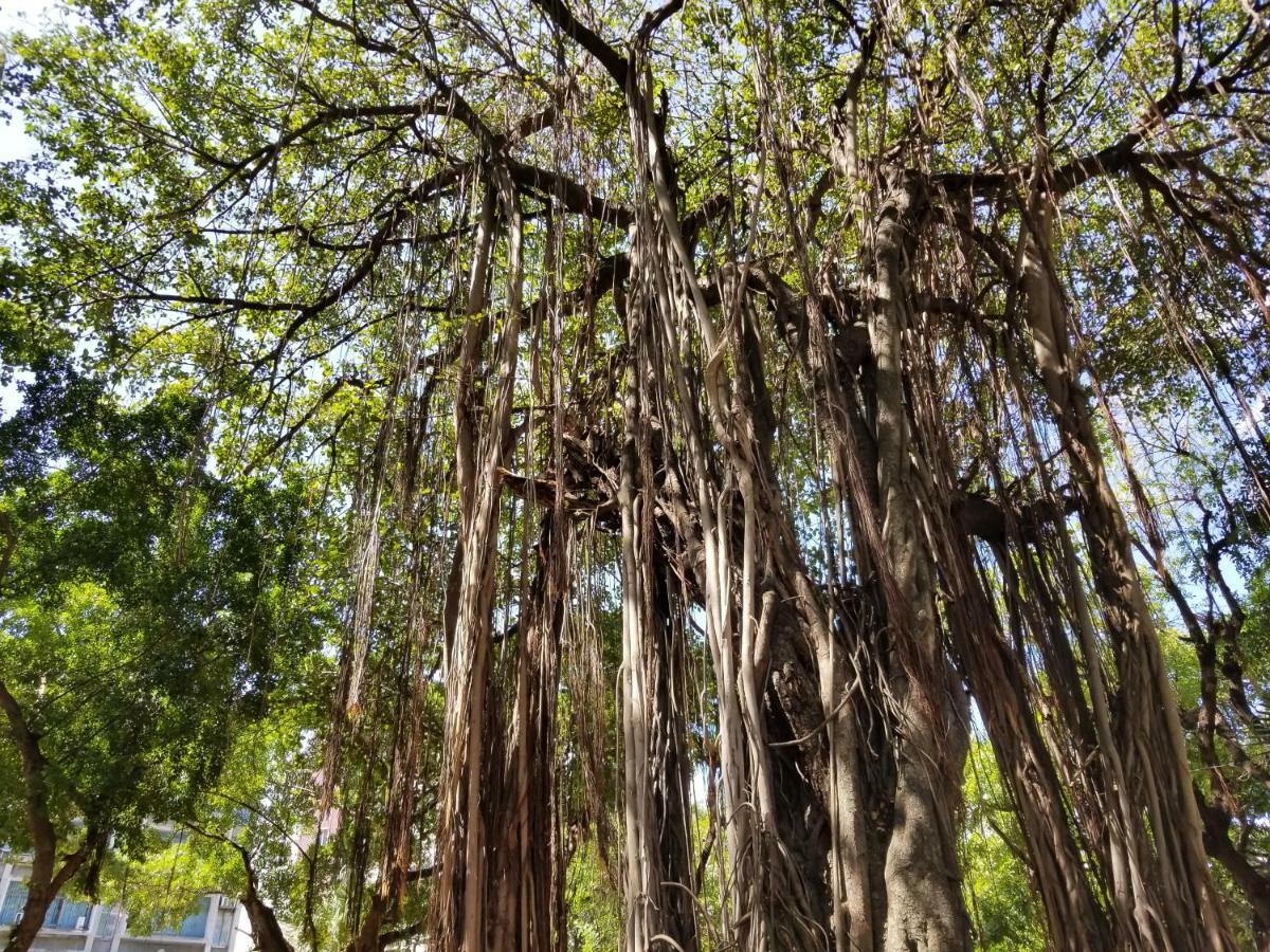 Bodhee Villa 格兰贝伊 外观 照片